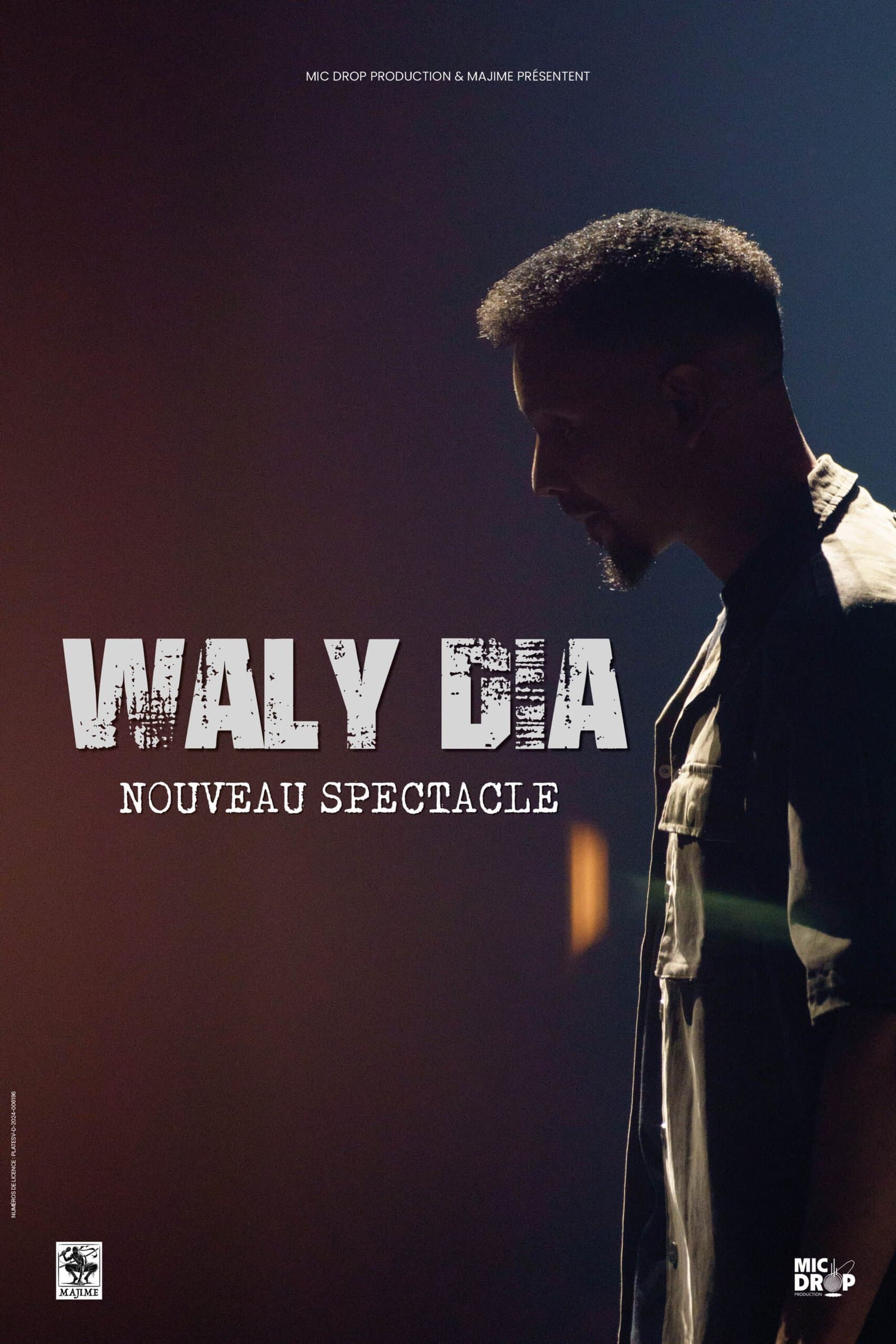 Affiche : Waly Dia · Nouveau spectacle